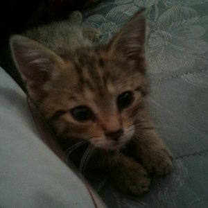 Meet your Posher, Emily